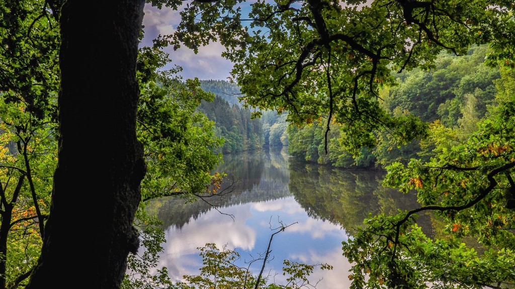 Doorkijkje - foto: Filip Claeys