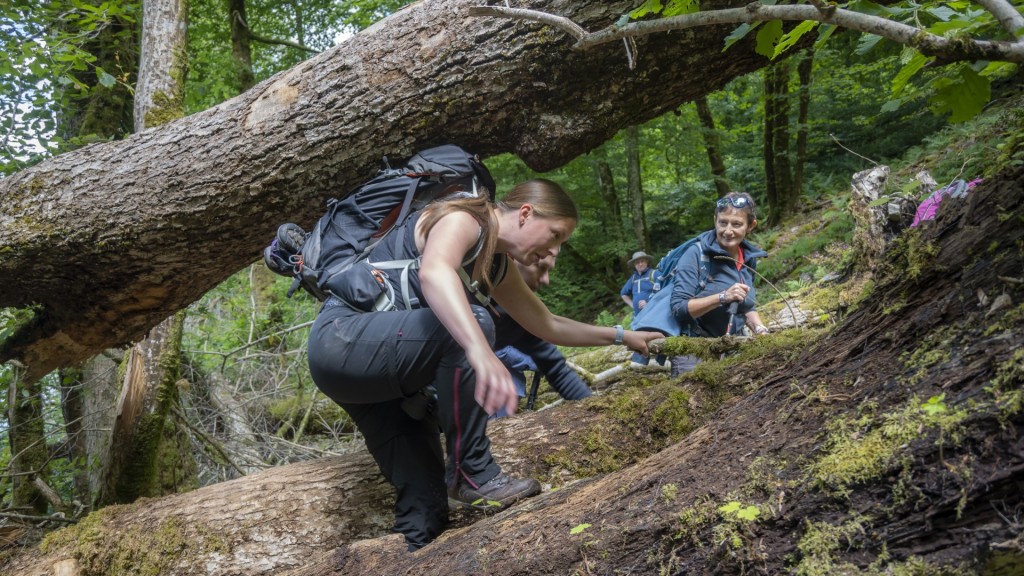 Avontuurlijk wandelen - foto: Jan Depelseneer