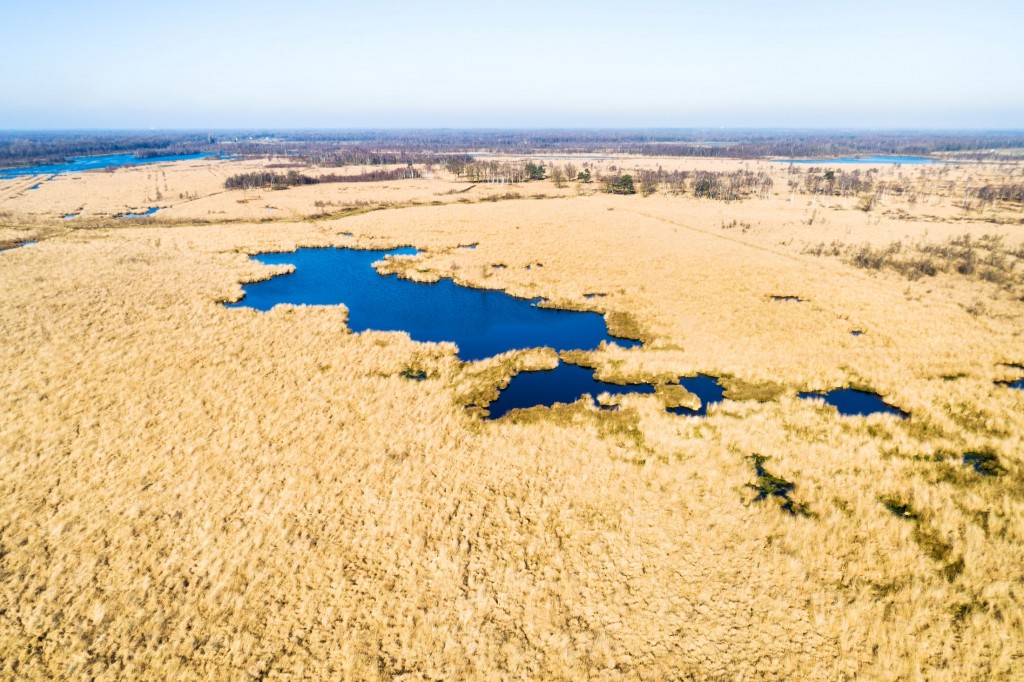 Weids en eindeloos - foto: Paul Oostveen