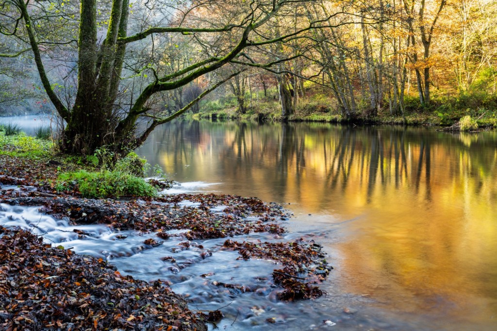 Oostelijke Ourthe - foto: Sandy Spaenhoven