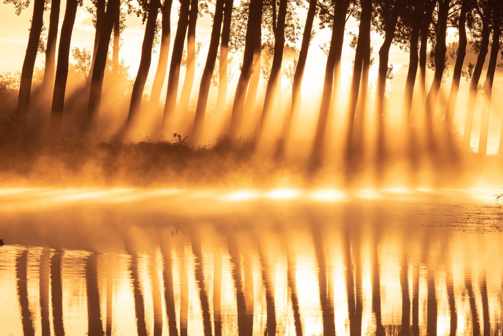 Damse vaart in lichterlaaie - foto: Sandy Spaenhoven