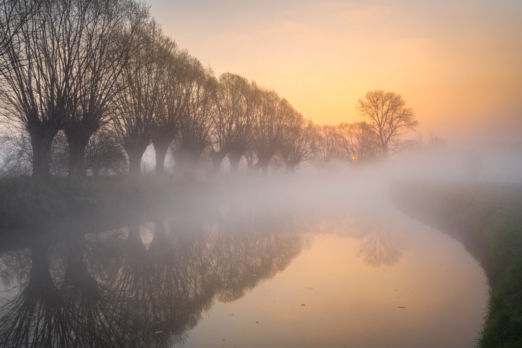 Dendervallei - foto: Sandy Spaenhoven