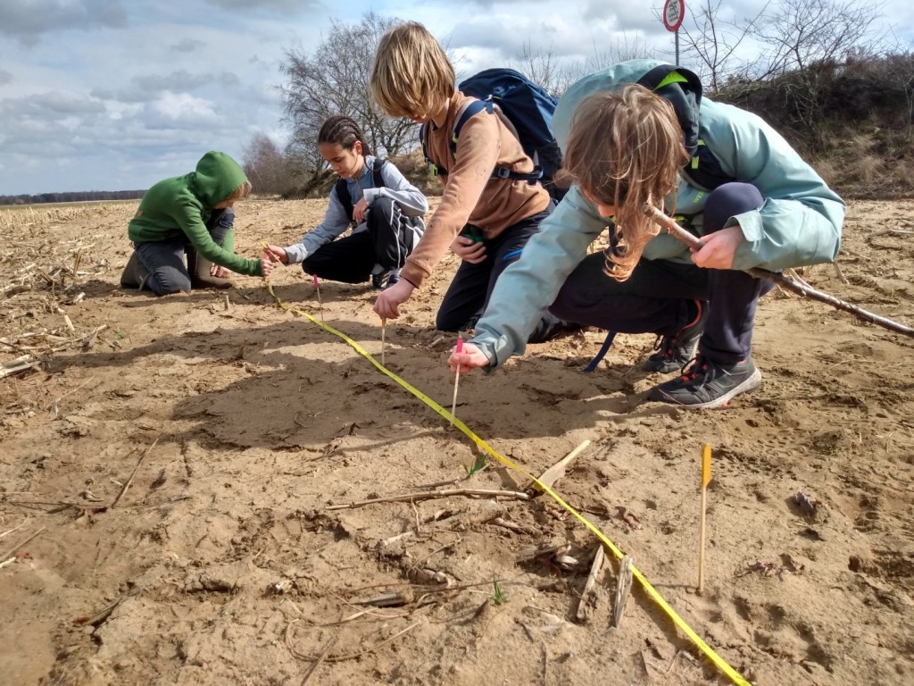 Excursie wolvensporen - foto: Jan Loos