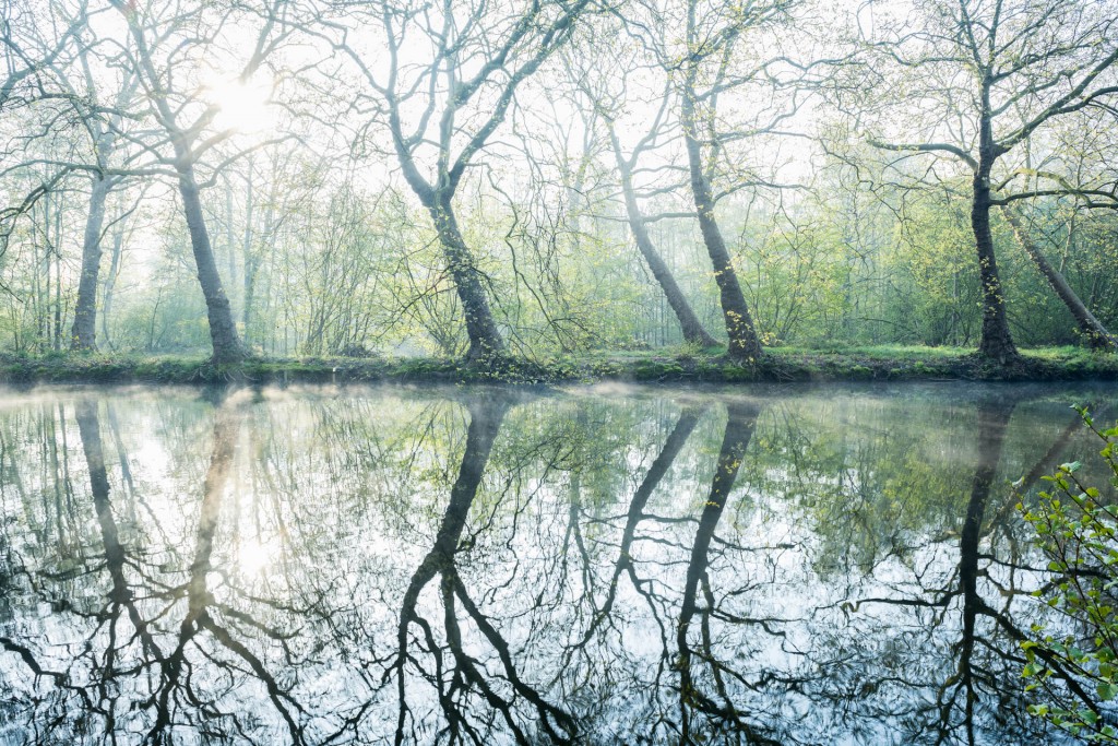 Reflecties - foto: Sandy Spaenhoven
